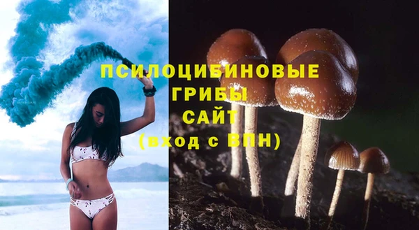 jwh Аркадак